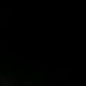 Meet your Posher, Dora